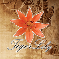 Tiger Lily Beauty Salon