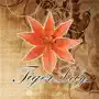 Tiger Lily Beauty Salon