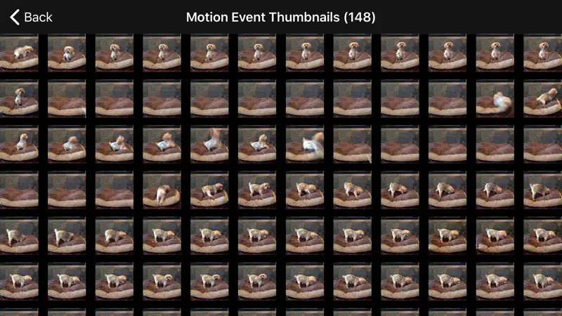 iCam - Webcam Video Streaming screenshot 5 of 5