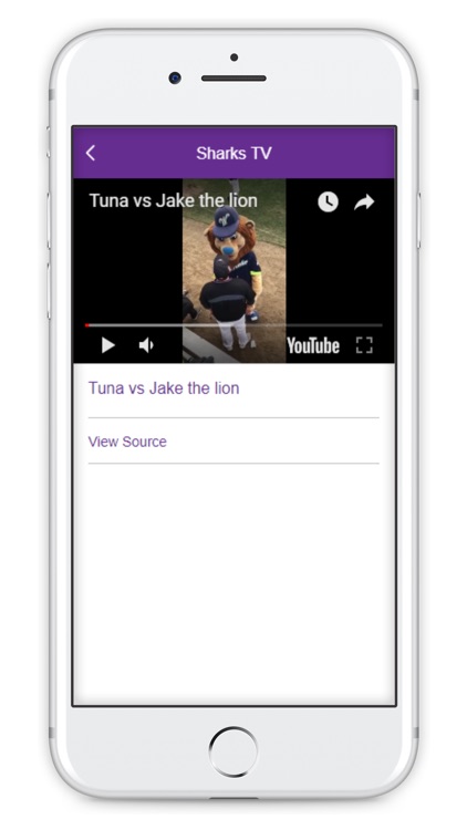 Martha's Vineyard Sharks