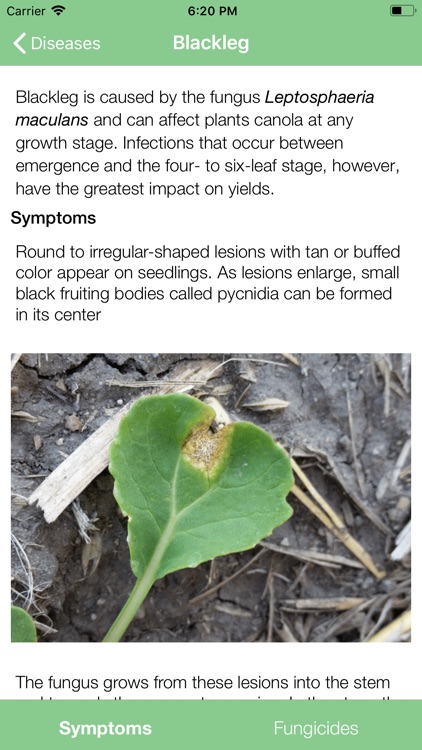 NDSU Canola Doctor