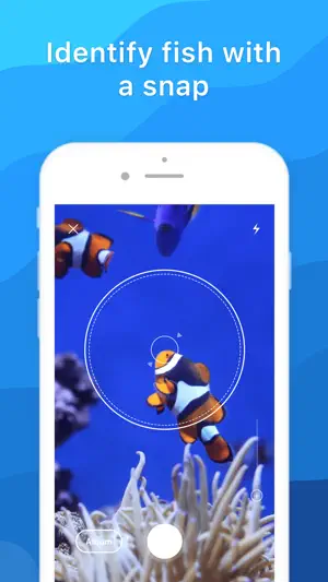 Picture Fish - Fish Identifier screenshot 1