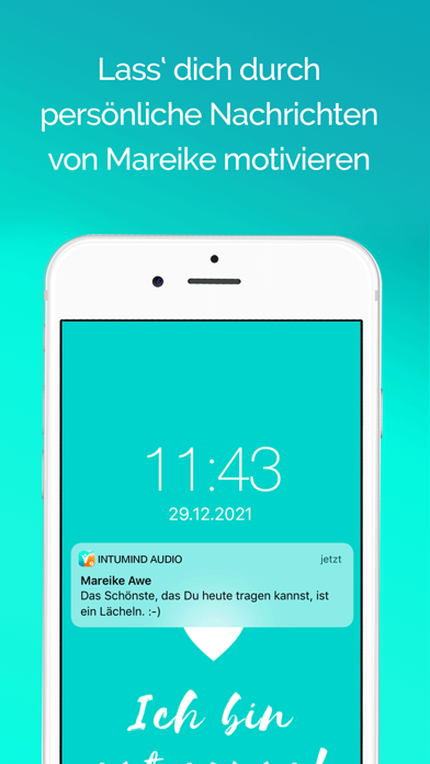 Intumind Audio Screenshot