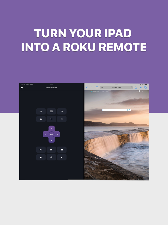 ‎Rokie - Roku Remote Screenshot