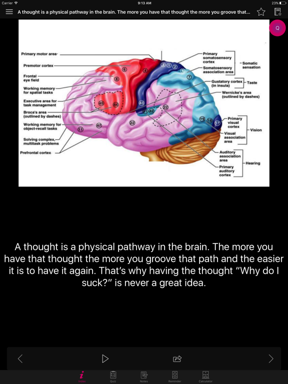 Screenshot #6 pour Human Brain Facts & Quiz 2000