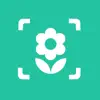 Iplant - Plant Identification App Support
