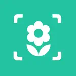 Iplant - Plant Identification App Problems