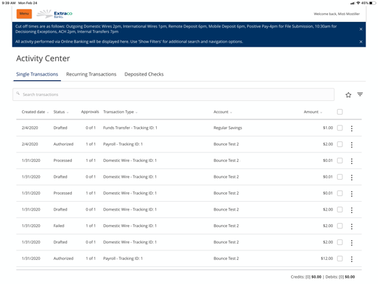 Extraco eBank iPad screenshot 1 - Finance app