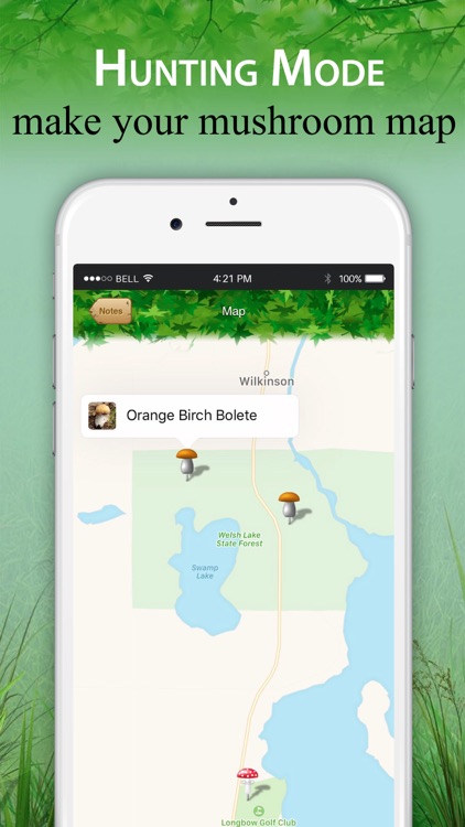 Mushroom Identification &Guide screenshot-4