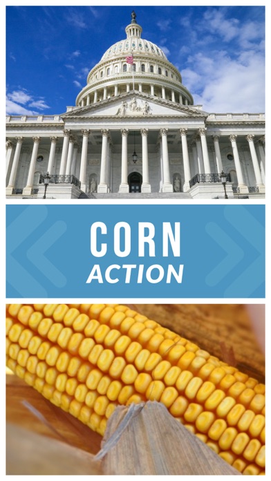 Corn Action Screenshot