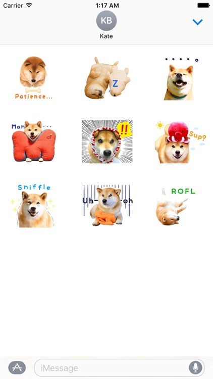 Adorable Shiba Inu Dog Sticker