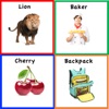 English Vocabulary-Flashcards icon
