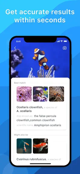 Game screenshot Picture Fish - Fish Identifier apk