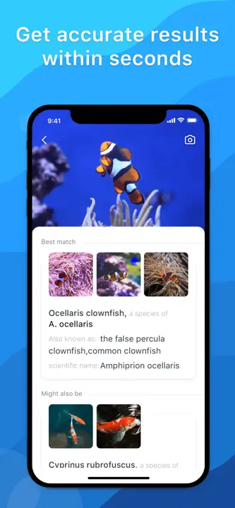 Picture Fish: Screenshot 2 von 4