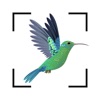 Bird identifier Bird Finder - iPadアプリ