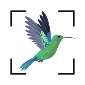 螢幕擷取畫面 (4) Bird identifier Bird Finder