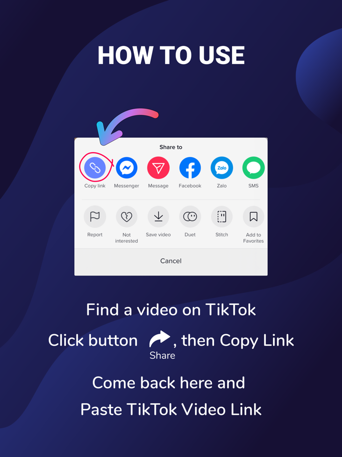 SaveTiks Video Manager