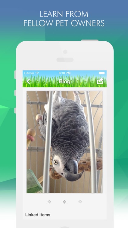 Pets Amino screenshot-3