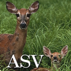 螢幕擷取畫面 (10) Psalm Daily Quotes ASV