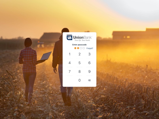 UBMich iPad screenshot 2 - Finance app