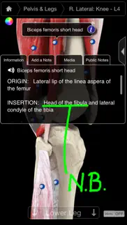 muscle system pro iii - iphone iphone screenshot 2