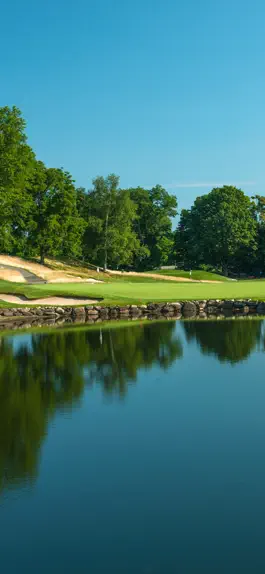 Game screenshot Metropolis Country Club mod apk