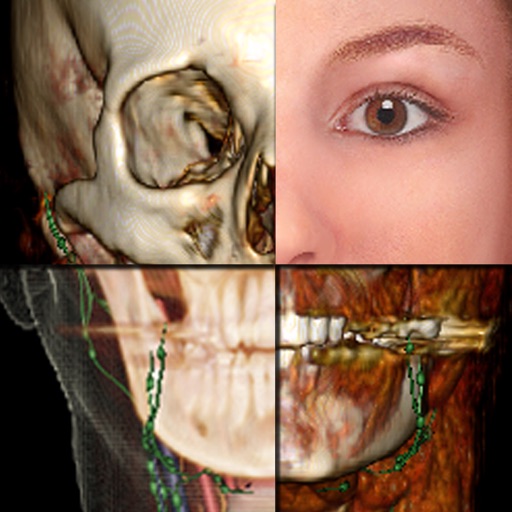 Anatomage Table Companion