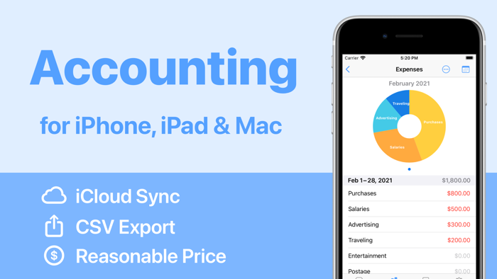 Small Business Accounting