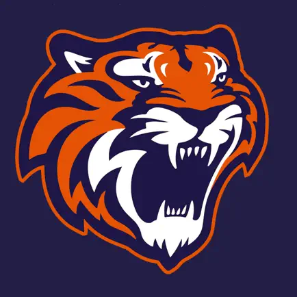 Tigres de Quintana Roo Читы