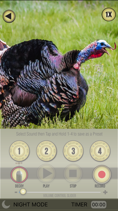 Wild Turkey Pro Screenshot