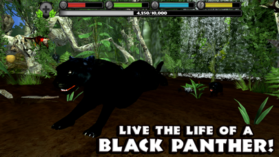Panther Simulator Screenshot