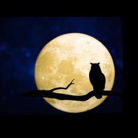 Dark Mode for  browser PC 용