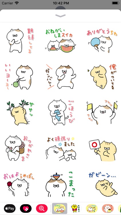 動く!にゃんこたち