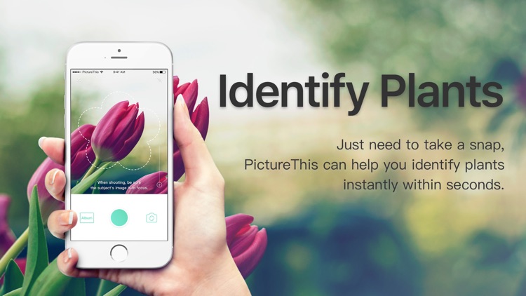 PictureThis - Plant identifier screenshot-0