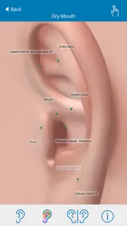 auriculo 360 - the living ear problems & solutions and troubleshooting guide - 2