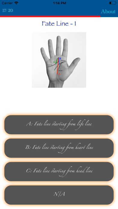 Screenshot #3 pour Personalysis