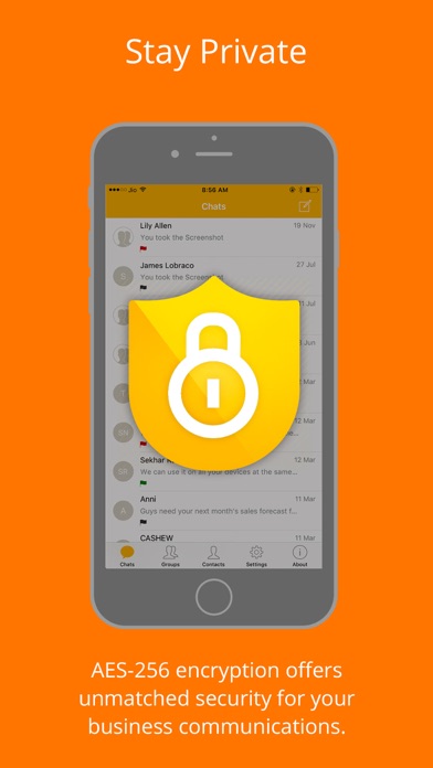 AP Secure Messenger screenshot 2