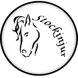 Stockinjur