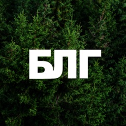 Лесная газета (Беларусь)