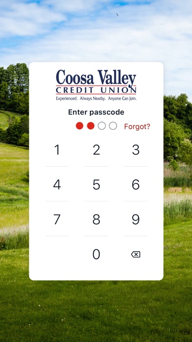 Coosa Valley CU Screenshot