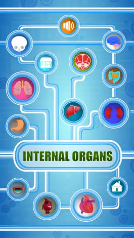 Game screenshot Human Body - Internal Organs apk