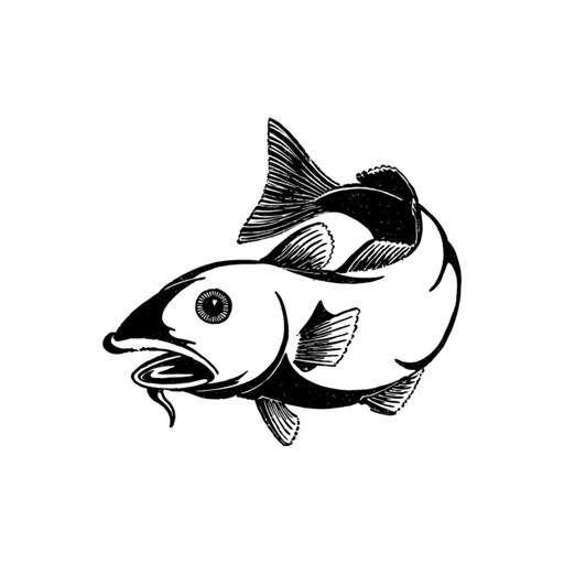 The Crispy Cod Galgorm