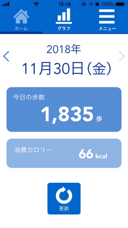 Health Ledger Walking Type F