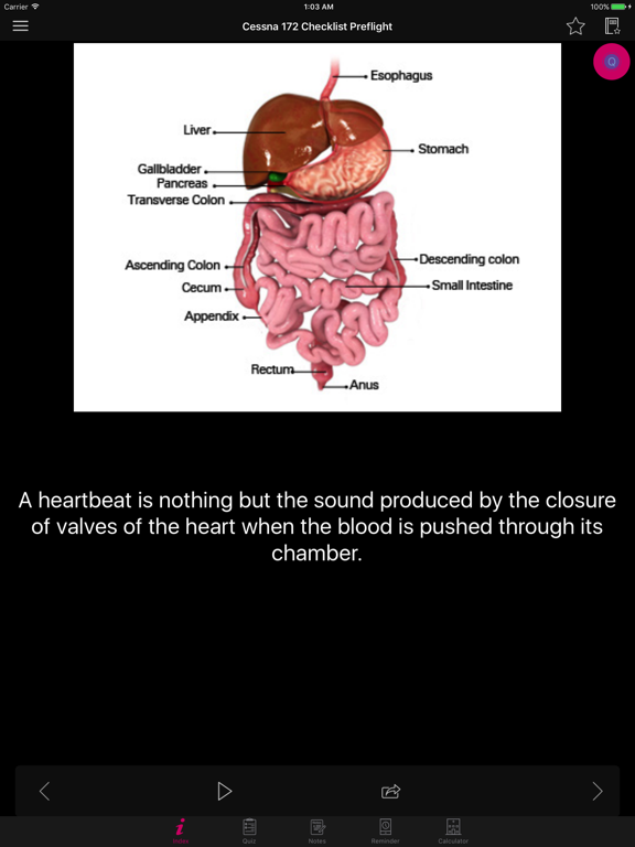 Screenshot #6 pour Amazing Human Body Facts, Quiz