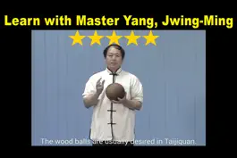 Game screenshot Tai Chi Ball Qigong hack