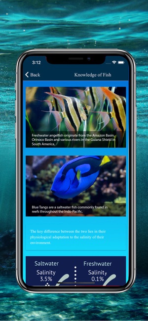East Aqua Studio(圖4)-速報App