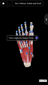 Muscle System Pro III - iPhone screenshot