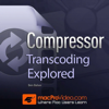 Transcoding For Compressor 4 - Nonlinear Educating Inc.