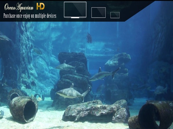 Screenshot #5 pour Ocean Aquarium HD