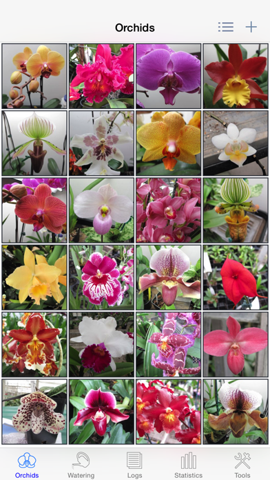 Orchid Album Screenshot